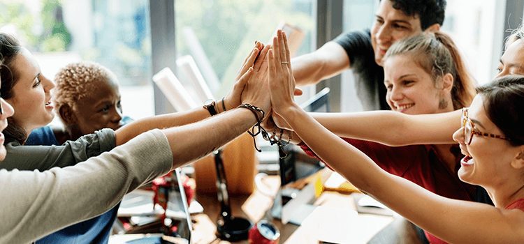 uma equipe unida eleva o trabalho